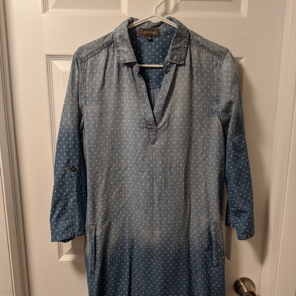 Luxology denim dress